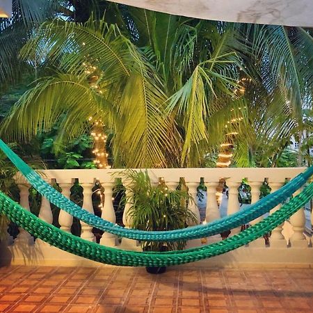 Casa Tropical Hotel Cancun Bagian luar foto