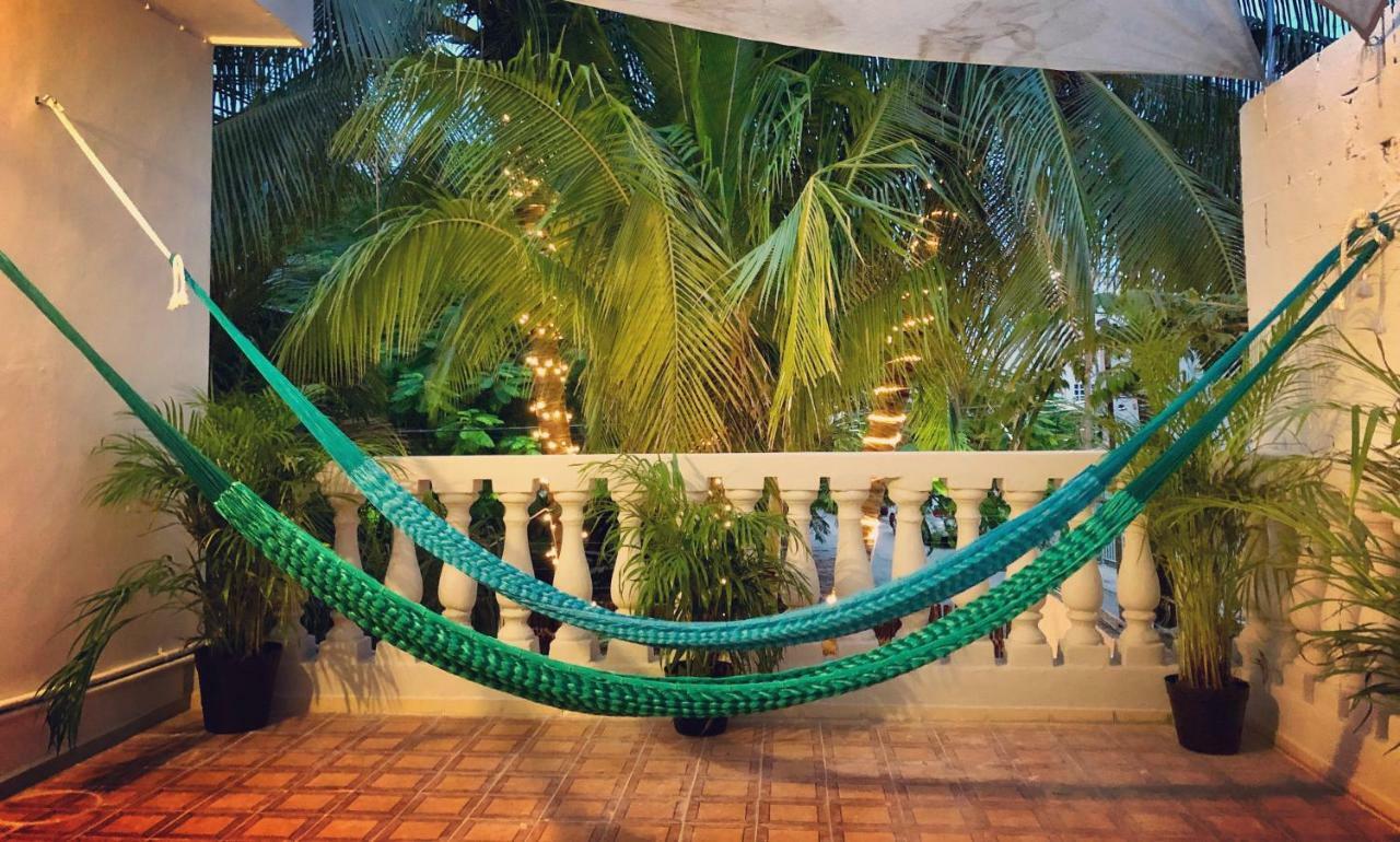 Casa Tropical Hotel Cancun Bagian luar foto