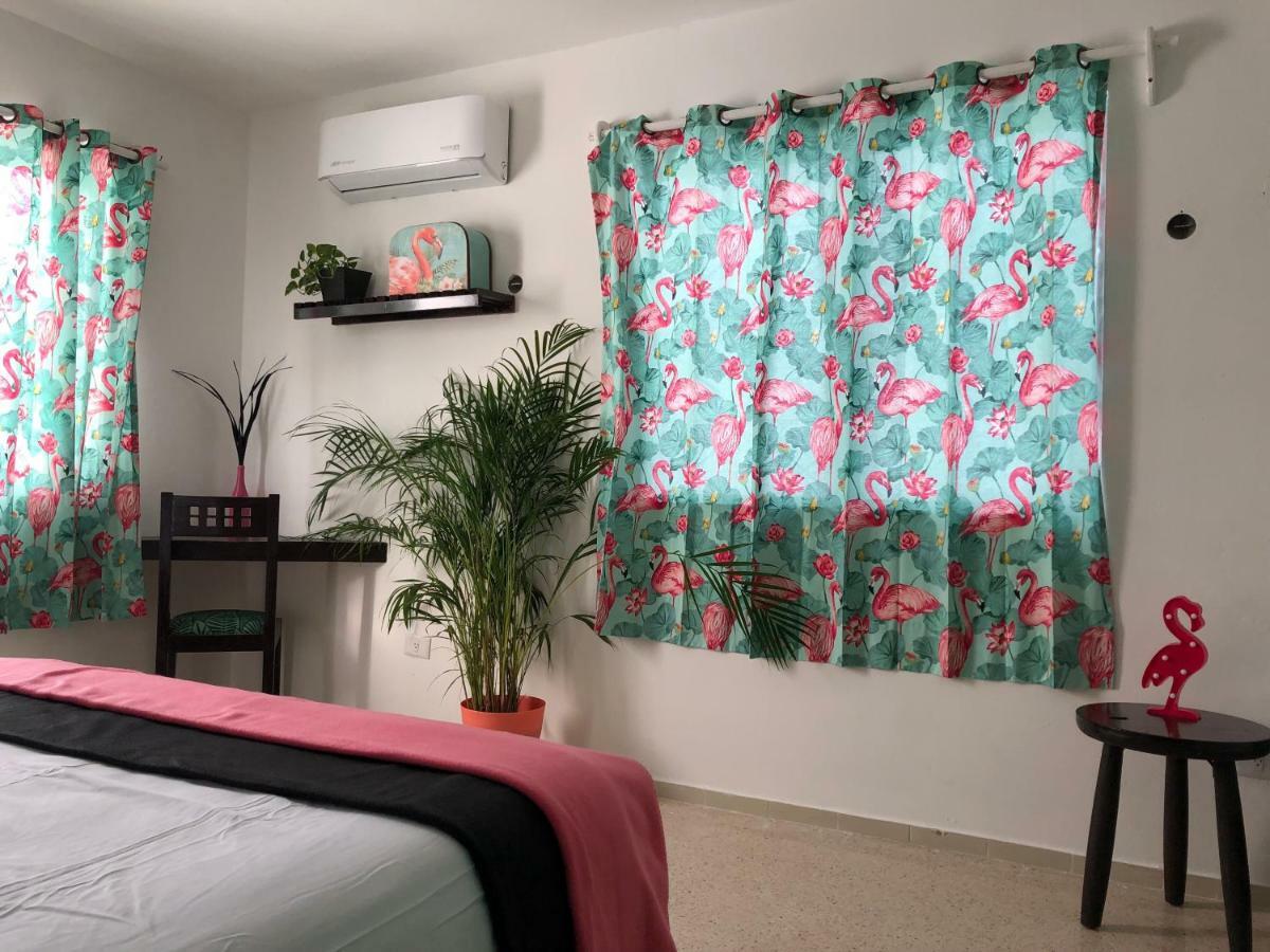 Casa Tropical Hotel Cancun Bagian luar foto