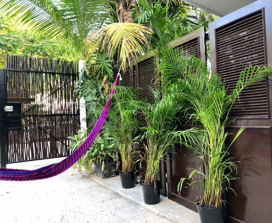 Casa Tropical Hotel Cancun Bagian luar foto