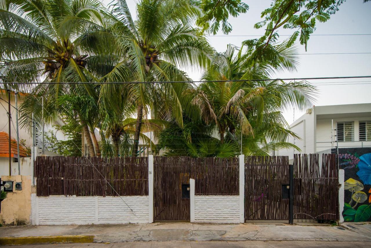 Casa Tropical Hotel Cancun Bagian luar foto